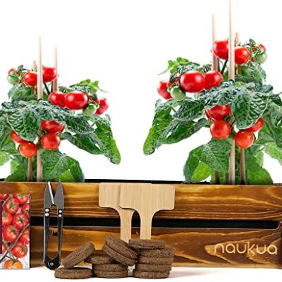 Kit de cultivo de tomates cherry