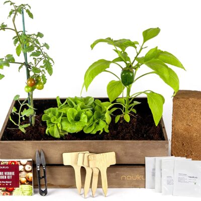 Kit de cultivo de hortalizas Naukua