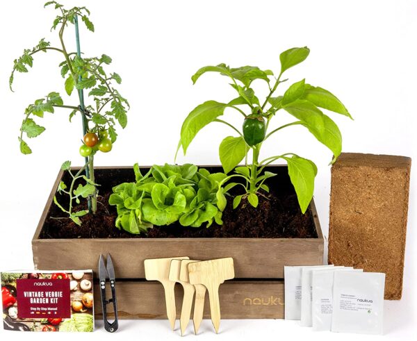 Kit de cultivo de hortalizas Naukua